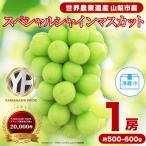 ふるさと納税 山梨市 フルーツ王国山梨産厳選 シャインマスカット 1房(約500-600g)