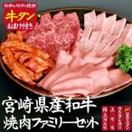 サンプル付き 和牛レストランの産和牛焼肉ファミリーセット