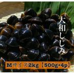 fu.... налог Matsue город Shimane . дорога озеро производство рефрижератор Yamato ...M размер 2kg(500g×4) комплект ( песок вытащенный отделка settled )