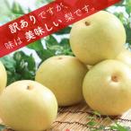 ショッピング梨 ふるさと納税 松川町 梨 二十世紀 訳あり 約5kg/9月上旬〜下旬頃発送予定 長野県 南信州 20世紀 自宅用 JA43