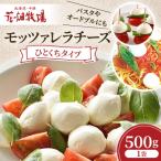 ふるさと納税 音更町 花畑牧場　モッツァレラチーズ ひとくちタイプ　500g