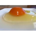 五島の恵み たまご 10個入り×2パック