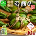 ふるさと納税 南魚沼市 【無地のし】南魚沼市 笹団子 40g ×10個 やまと食品 和菓子 12/10までご入金で年内発送