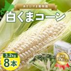 ふるさと納税 旭川市 2025年8月より発送 あさひやま動物園白くまコーン3.2kg 旭山動物園監修箱入り_03811
