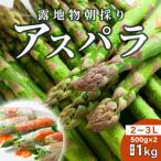 ふるさと納税 旭川市 【先行受付】令和7年5月中旬より順次発送 旭川近郊産露地物アスパラ 1kg 2L〜3L_03817