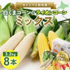 ふるさと納税 旭川市 2025年8月より発送 あさひやま動物園白くまコーン4本 ライオンコーン4本 MIX8本_03815
