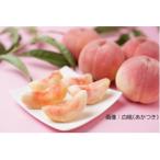 ふるさと納税 伊達市 �