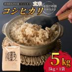 ふるさと納税 弥彦村 新潟県弥彦村石井農園　令和7年産コシヒカリ【玄米 5kg】