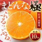 ふるさと納税 八幡浜市 「夕やけブランド」ぷるぷる食感【まどんな】10kg ※紅まどんなと同品種 【H49-40】