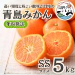 ふるさと納税 湖西市 【年内発送】【12月より順次出荷予定】青島みかん約5kg SSサイズ〔鈴木農園〕