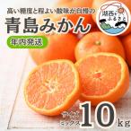 ふるさと納税 湖西市 【年内発送】【12月中旬より順次出荷予定】青島みかん約10kgサイズミックス〔鈴木農園〕