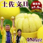 ふるさと納税 土佐市 <果樹園直送> 土佐文旦 特選品贈答用 4Lサイズ2個入り