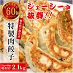 ふるさと納税 宇都宮市 餃子専門店 宇都宮悟空 特製肉餃子60個入
