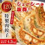 ふるさと納税 宇都宮市 餃子専門店 宇都宮悟空 特製肉餃子120個入