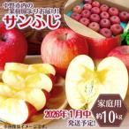 ふるさと納税 中野市 ◆2026年1月中発送◆りんご サンふじ家庭用 約10kg(24〜42玉)