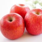 ふるさと納税 山形県 【2025年度発送先行受付】訳ありサンふじりんご　約10kg(28〜54玉)