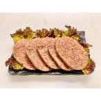 ふるさと納税 美濃加茂市 ハンバーグ　ふるさと納税 美濃加茂市 【飛騨牛入り】 手作り ハンバーグ 5個 セット (150g×5個)