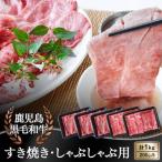 ふるさと納税 日置市 鹿児島県産 黒毛和牛 すき焼き・しゃぶしゃぶ用1kg(日置市)