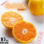 ふるさと納税 海南市 【和歌山みかん】10kg大小混合サイズ 【訳あり】 まごころ産直みかんより農園直送