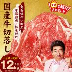 ふるさと納税 泉佐野市 【TVで紹介!】国産牛肉 切り落とし 1.2kg 300g×4P【氷温熟成×極味付け】mrz0118