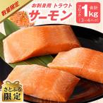 ふるさと納税 泉佐野市 【さとふる限定】お刺身用 サーモン 1kg ブロック 小分け(3P〜4P) G1859