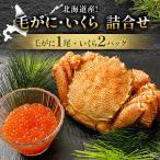 ふるさと納税 北海道 北海道産!毛がに1尾・いくら2パック詰合せ