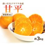 ショッピング甘平 ふるさと納税 松山市 【2026年1月中旬頃から発送予定】甘平(かんぺい)<家庭用・優品> 約3kg