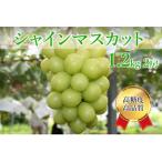 ふるさと納税 笛吹市 シャインマスカット計1.2kg(2房)