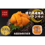 ふるさと納税 伊達市 北海道 噴火湾産 塩水 バフンウニ 100g×1パック