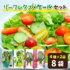 fu.... налог маленький . город культивирование период средний пестициды не использование! растения завод культивирование leaf lettuce * кудрявая капуста комплект 