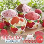 ふるさと納税 尼崎市 博多あまおうのこだわりアイス【AH-ABR】
