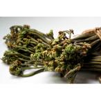 fu.... налог Yamagata префектура Yamagata префектура производство ... дикоросы примерно 1.5kg[2026 год отправка предшествующий предварительный заказ ]