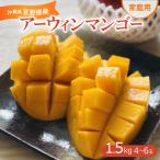 ふるさと納税 宜野座村 【2025年発送・家庭用】宜野座産のアーウィンマンゴー1.5kg(4〜6玉)