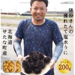 ふるさと納税 せたな町 【2025年7月から順次発送】北海道せたな町産 塩水うに(キタムラサキウニ) 200g