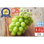 ふるさと納税 佐渡市 訳ありシャインマスカット2房 1.2kg 佐渡島産