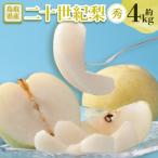 ふるさと納税 智頭町 【先行予約】二十世紀梨 秀 約4kg