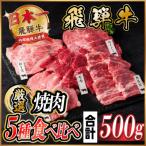 ふるさと納税 羽島市 飛騨牛 焼肉厳選5種食べ比べセット(カルビ・トモサンカク・モモ・ロース・カイノミ)約500gタレ付き