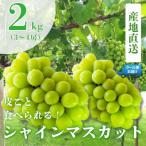 ふるさと納税 南アルプス市 先行予約　2026年発送分　新鮮なフルーツをクール便発送　シャインマスカット　2kg(3〜4房)