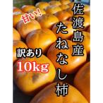 ふるさと納税 佐渡市 【2025年10月以降発送分】訳あり 佐渡島産たねなし柿 10kg(箱の重さ込み)