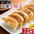 ふるさと納税 入間市 餃子の雪松　冷凍生餃子72個(36個×2包)　タレ1個付き