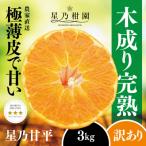 ショッピング甘平 ふるさと納税 八幡浜市 【訳あり】星乃みかん園の甘平(3kg)【C45-88】