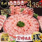 ふるさと納税 都城市 【さとふる限定】宮崎県産豚うきうきセット!4.35kg