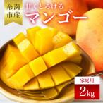 ショッピングふるさと納税 マンゴー ふるさと納税 糸満市 【2026年発送】かねよしマンゴーの甘くとろけるマンゴー2kg(家庭用)