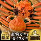 越前ガニ600g×2杯とセイコガニ ズワイガニのメス 5杯
