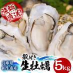 ふるさと納税 相生市 ★先行予約★殻付き生牡蠣 5kg【漁師直送!】