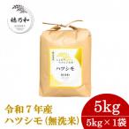 ふるさと納税 羽島市 【先行予約】令和7年産 岐阜県産ハツシモ(無洗米)5kg