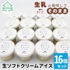 ふるさと納税 根羽村 乳原料100%南信州産!着色料・香料不使用。シンプルな素材で作った生ソフトクリームアイス 16個入り