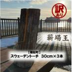 ふるさと納税 様似町 【訳あり】【様似町産】スウェーデントーチ(約30cm×3本)