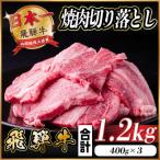 ふるさと納税 羽島市 飛騨牛 焼肉切り落とし 約1.2kg(約400g×3)タレ付き 訳あり【冷蔵便】A4〜A5 黒毛和牛