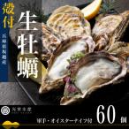 ふるさと納税 赤穂市 【生食OK】坂越かき 殻付き生牡蠣 60個 軍手・オイスターナイフ付き